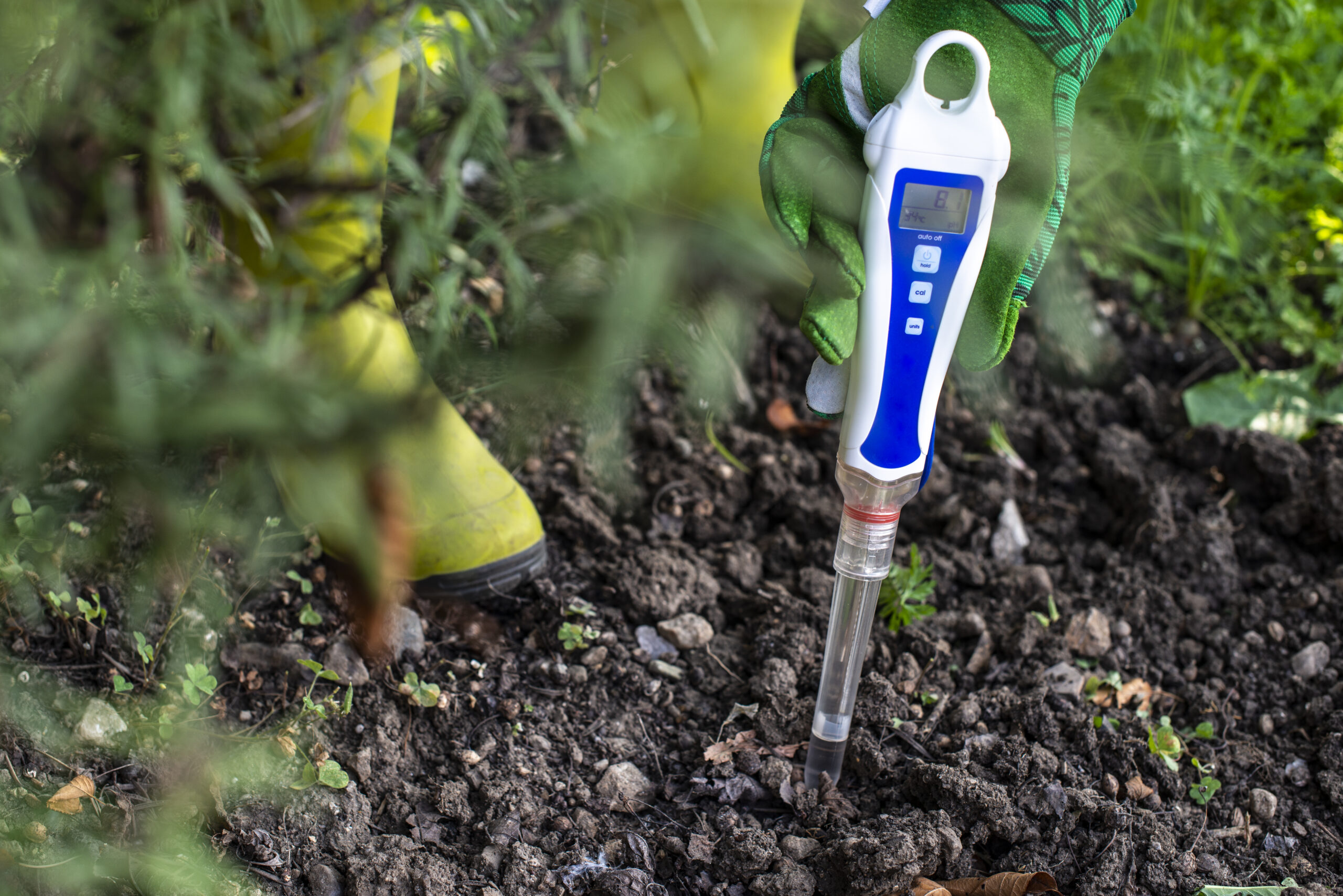 PH meter tester in soil. Measure soil with digital device. PH meter tester in soil. Measure soil with digital device. Woman farmer in a garden.