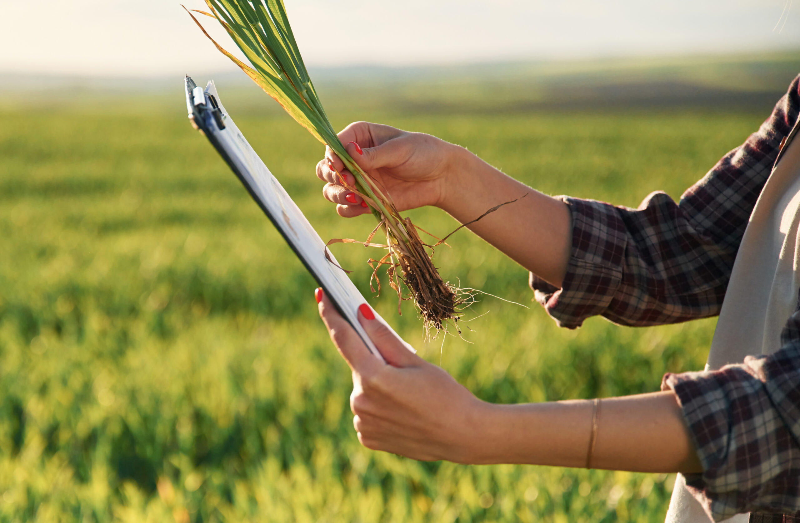Side view. With notepad and plant. Young woman is on the beautiful agricultural field at daytime Side view. With notepad and plant. Young woman is on the beautiful agricultural field at daytime.